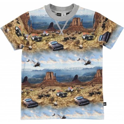 Molo shirt Prairie Chase ss
