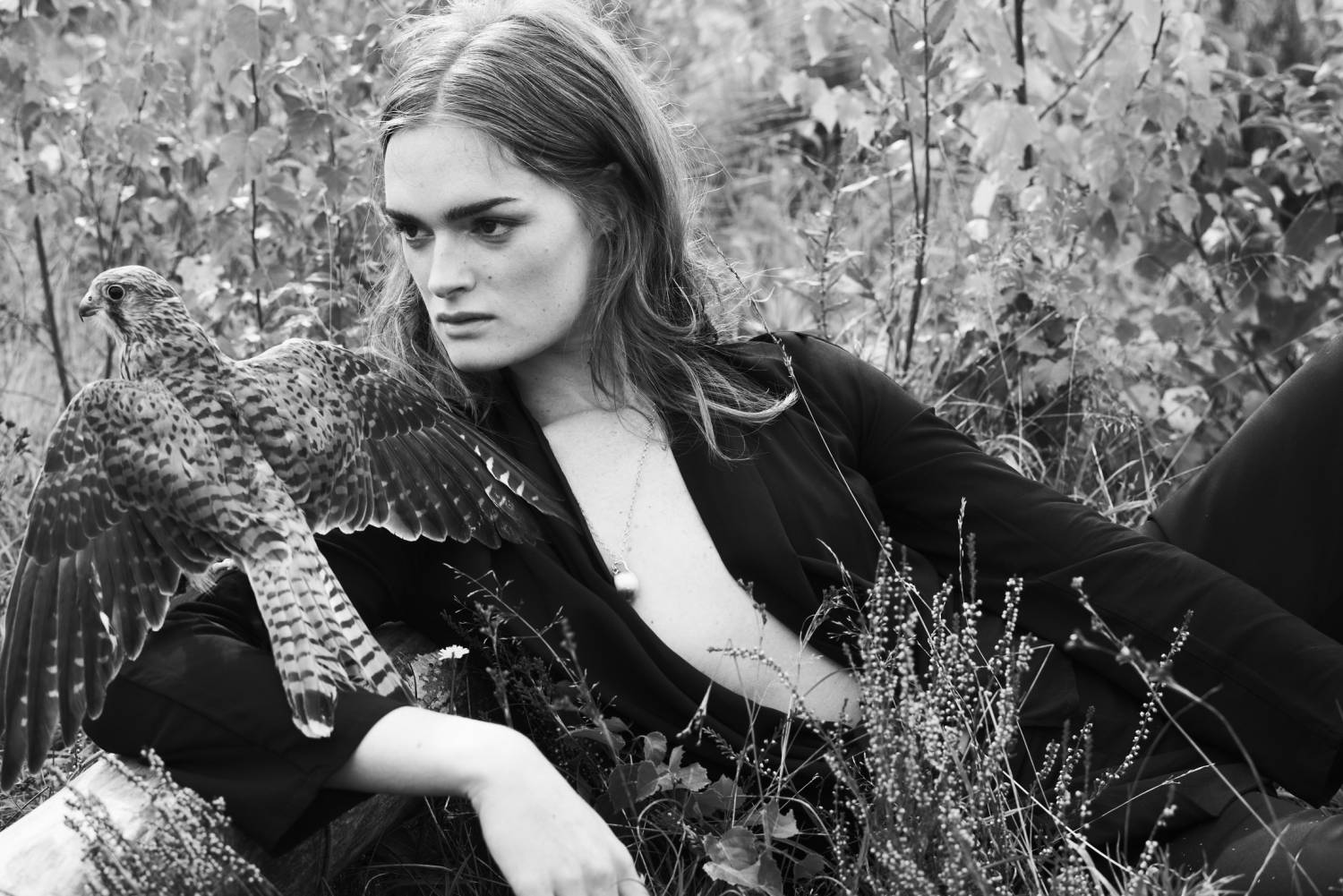 SS16 The Peregrine's Pride