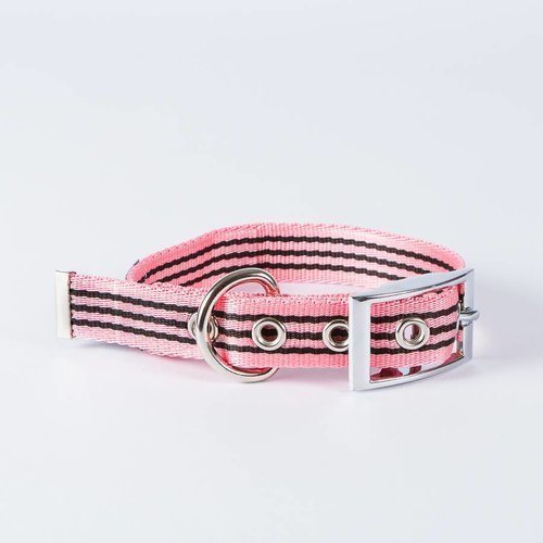 Canvasco Urban Dogs Halsband Roze 25mm Canvasco Urban Dogs Halsband Roze 25mm