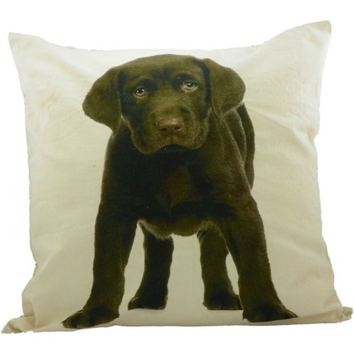 Sierkussen chocolade labrador Sierkussen chocolade labrador