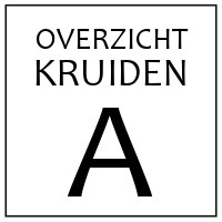 A - KRUIDEN EN SPECERIJEN DIE BEGINNEN OP 'A'