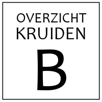 B - KRUIDEN EN SPECERIJEN DIE BEGINNEN OP 'B'