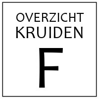 F - KRUIDEN EN SPECERIJEN DIE BEGINNEN OP 'F'