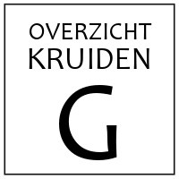 G - KRUIDEN EN SPECERIJEN DIE BEGINNEN MET 'G'