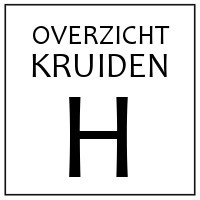 H - KRUIDEN EN SPECERIJEN DIE BEGINNEN OP 'H'
