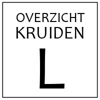 L - KRUIDEN EN SPECERIJEN DIE BEGINNEN MET 'L'