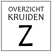 Z - KRUIDEN EN SPECERIJEN DIE BEGINNEN OP 'Z'