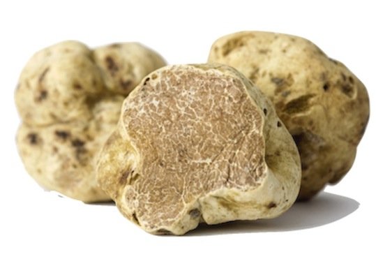 witte truffel witte truffel