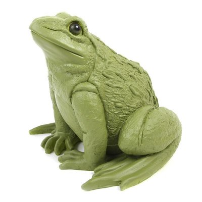 &Klevering Kikker spaarpot groen