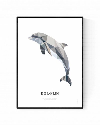 Poster dolfijn
