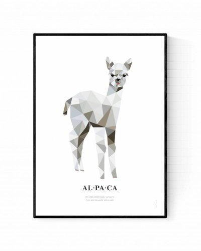 Poster alpaca