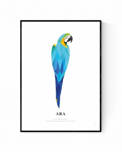 Poster ara