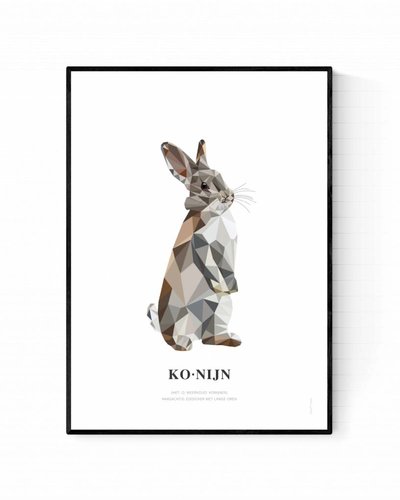 Poster konijn