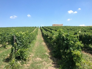 De Giro van Puglia