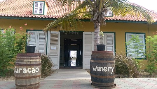 Into Italia gaat vreemd… Wijnbouw op Curaçao!