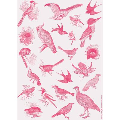 Frohstoff GESCHENPAPIER/ POSTER Vögel neonpink 50x70 cm