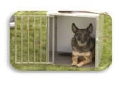 Honden transportboxen