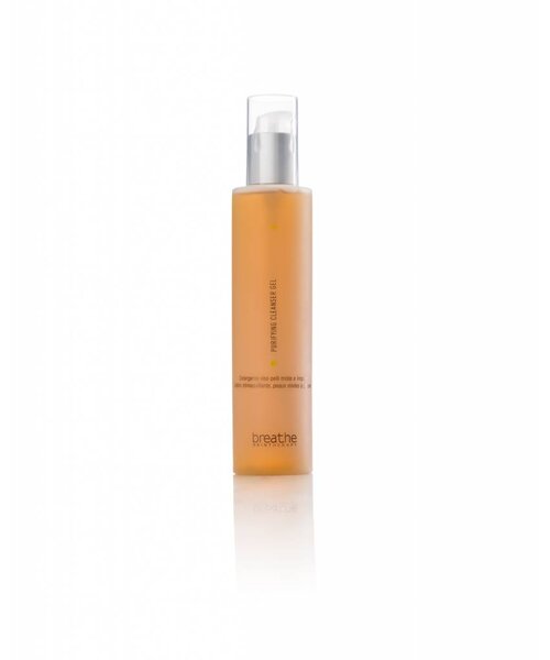 Zuiverende Gezicht Cleanser