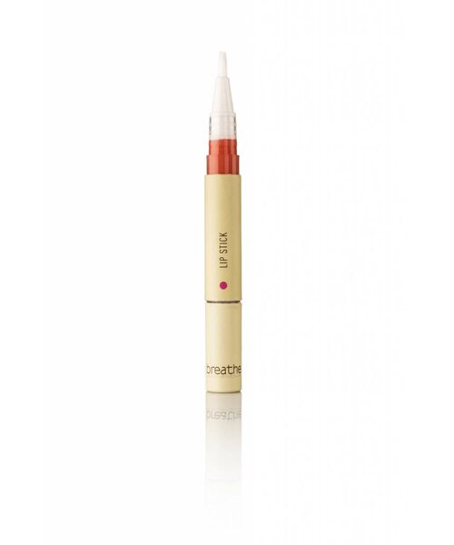 Lip Stick Orange 04