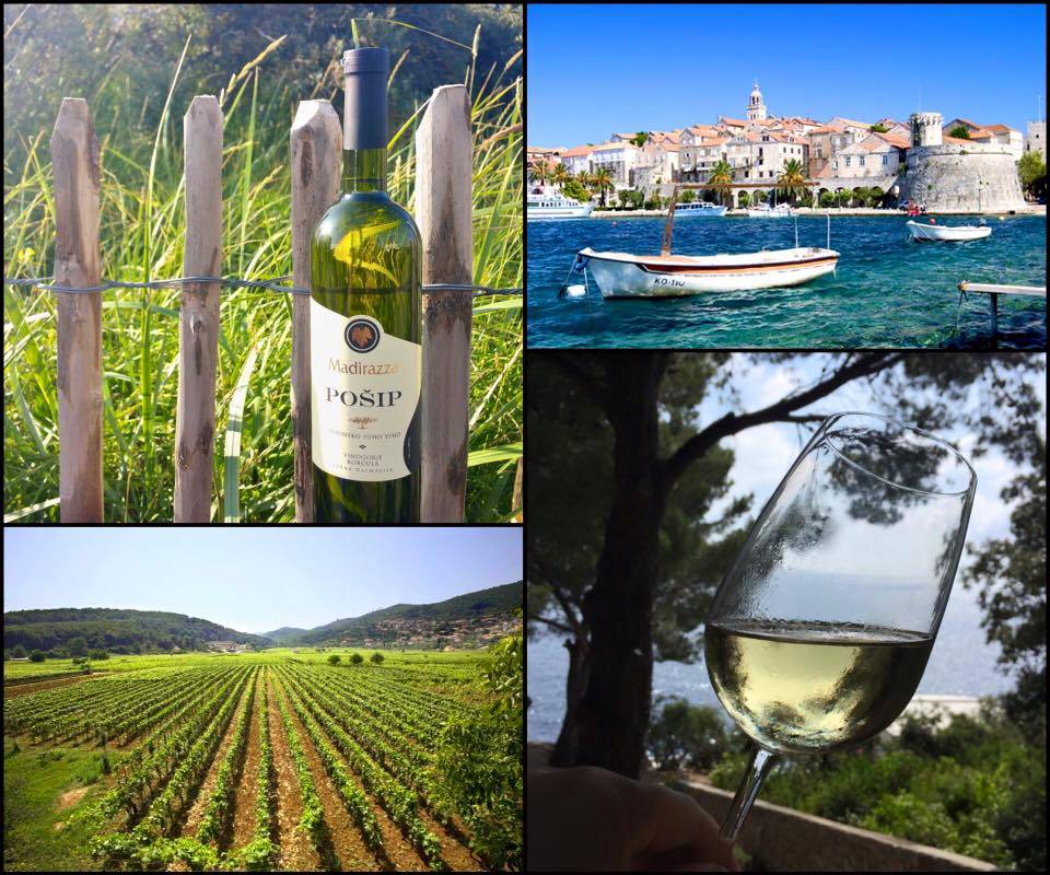 Wijnweetje van de week: Het bijzondere Dalamtische wijneiland Korčula