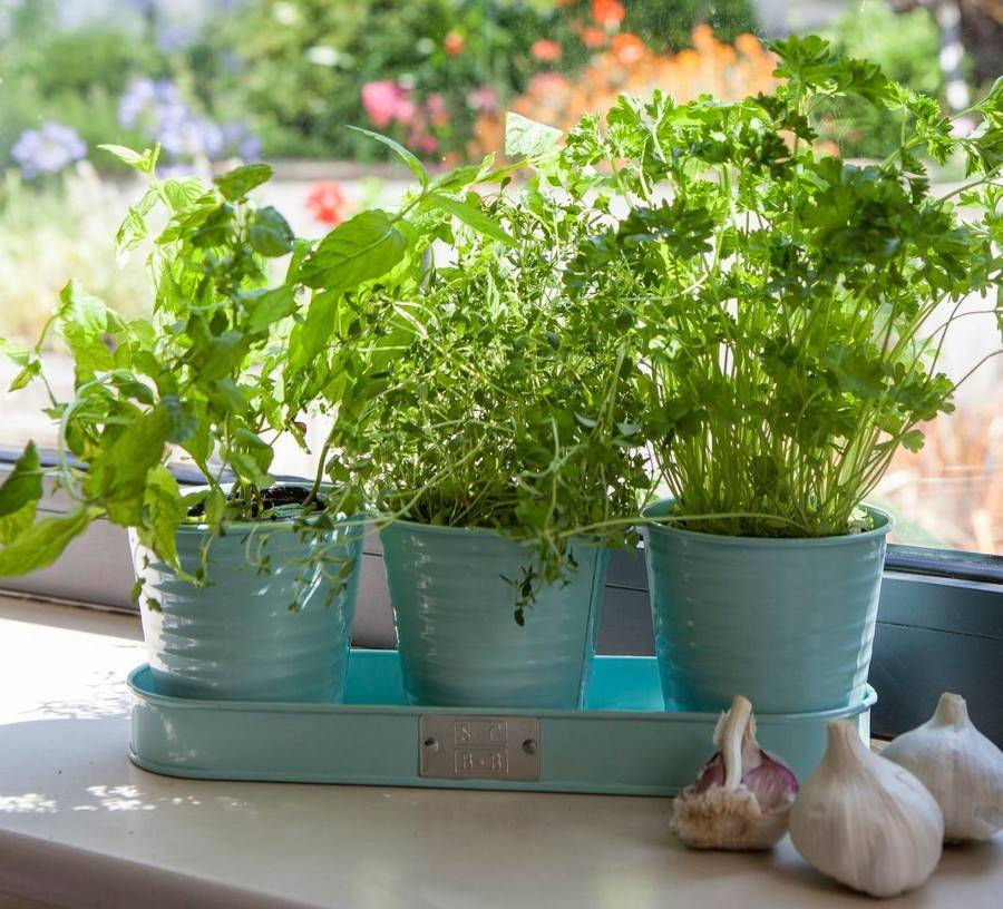 Sophie Conran Kräutertöpfe (4 Farben) Villa Jähn GmbH Garten