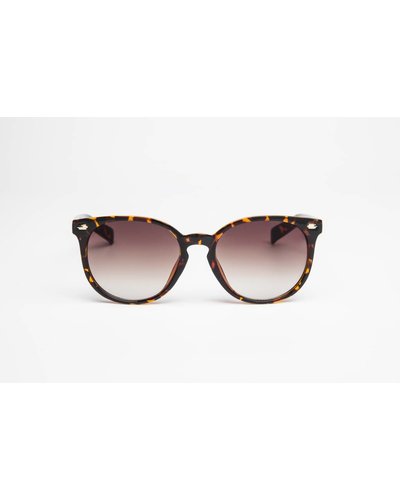 GADGERS CLASSY Turtle/Brown Fade