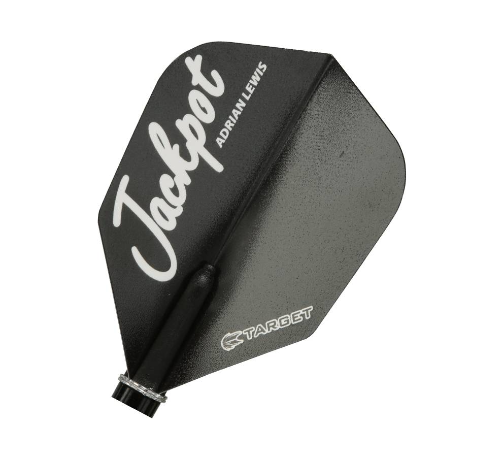 Target Darts VISION 125380 LEWIS BAGGED