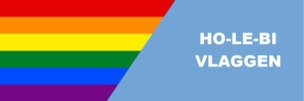 Regenboog en Holebi vlaggen