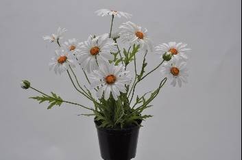 Bloemen en afscheid