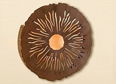 Schöne Wandkerzenhalter