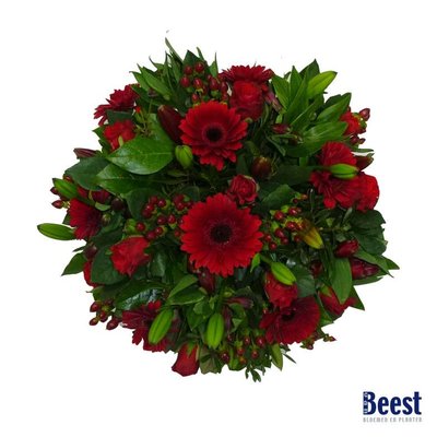 van beest bloemen en planten amersfoort bloemist van beest bloemen en planten van beest bloemen en planten amersfoort bloemist van beest bloemen en planten