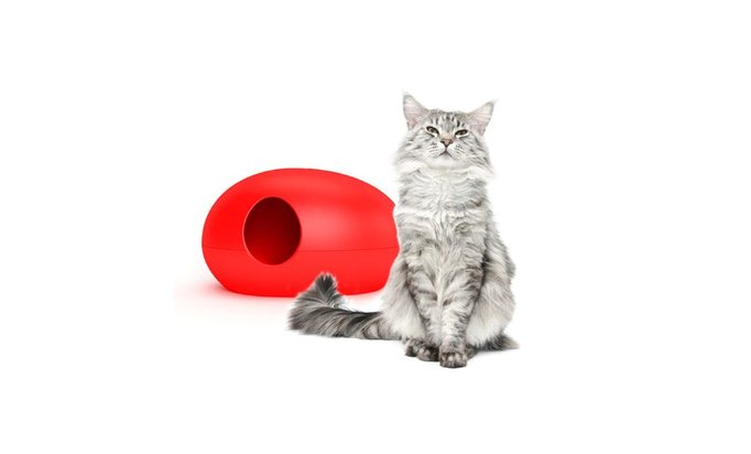 Kattentoilet