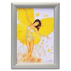 Elegance Kliklijst Elegance A3-formaat 29,7 x 42 cm, frame 32 mm