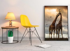Posters & lijsten