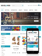 The Developer