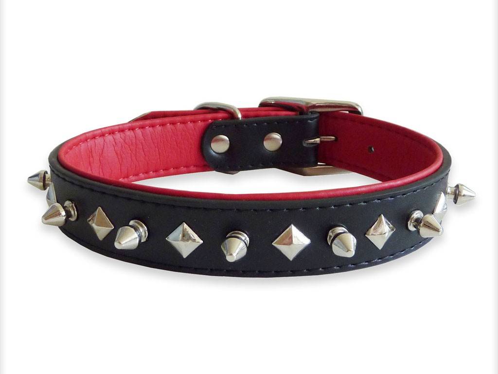 Halsband versus tuigje