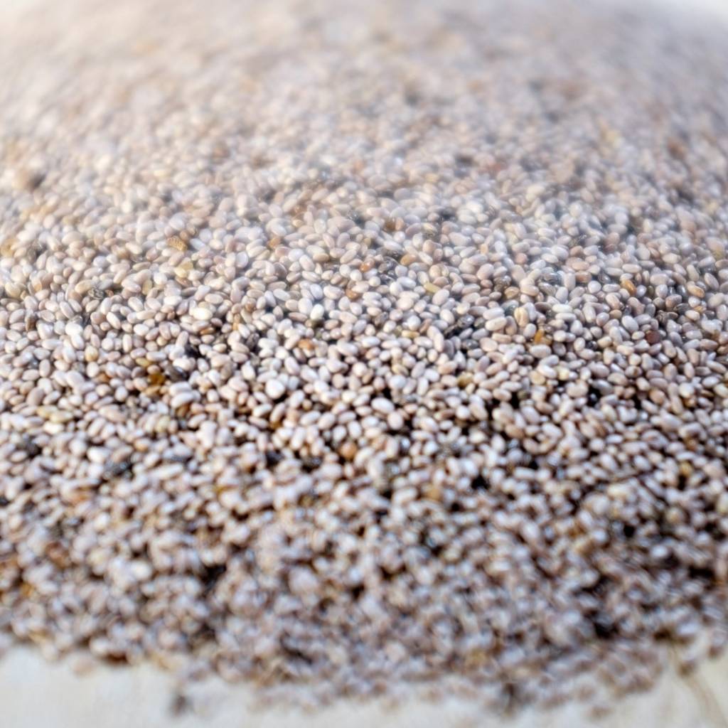 Waarom eten steeds meer mensen Bio-Chiazaad?