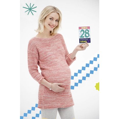 Milestone Pregnancy Cards (Nederlandse versie)