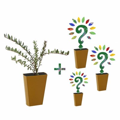 Jaarabonnement 4 Seizoenen: Cranberry + drie nieuwe soorten