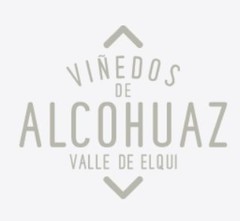 Vinedos de Alcohuaz