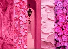 Roze
