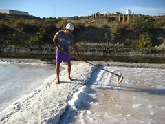 Fleur de sel / Salt