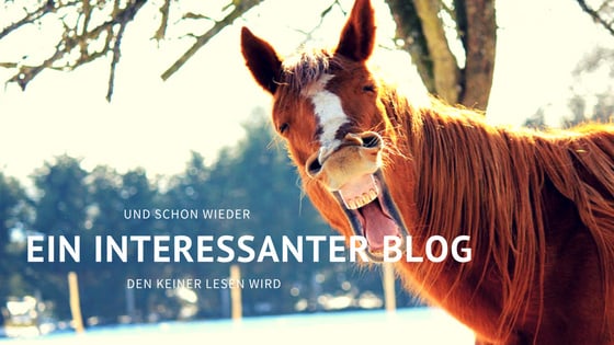 Wieder ein Blog, den keiner lesen wird