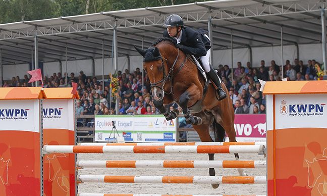 Europees kampioen springen enthousiast over magnesium olie