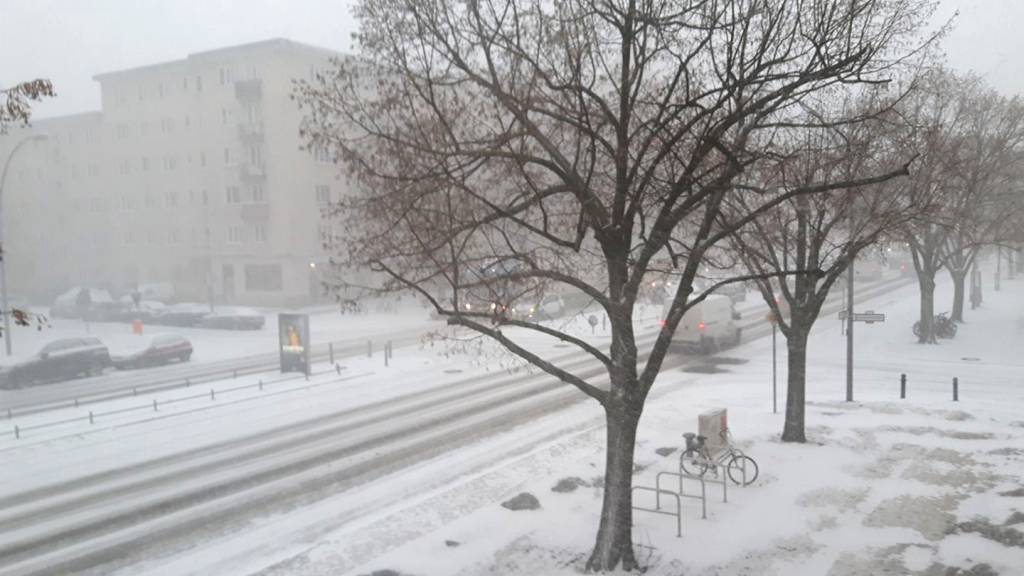 Urban Gardening im Januar