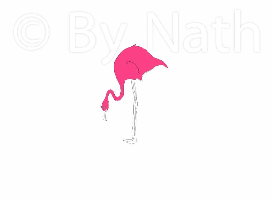 Art Print flamingo