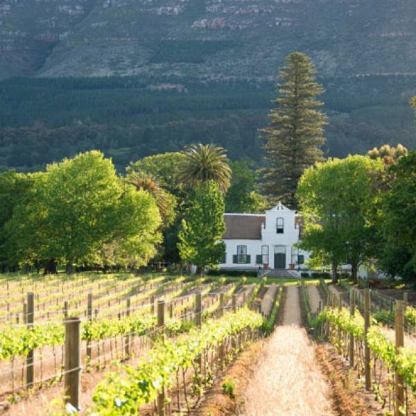 The Winery of Good Hope