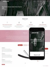 Theme Subscription