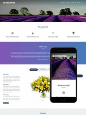 Theme Subscription
