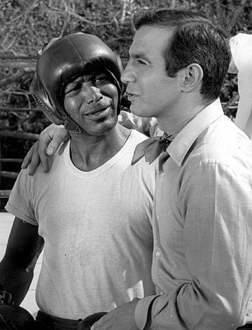 Sugar Ray Robinson